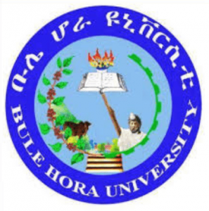 Bule Hora University