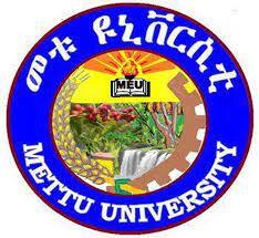 Metu University